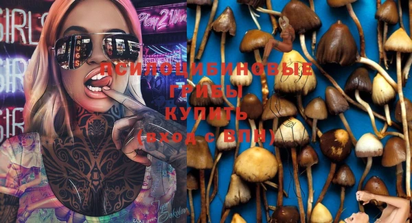 mdma Медвежьегорск