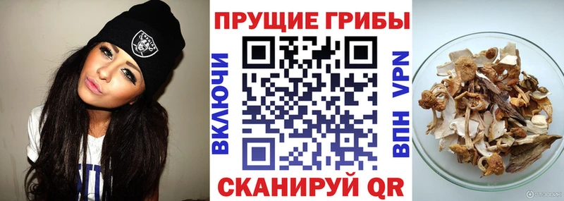 Псилоцибиновые грибы MAGIC MUSHROOMS Фрязино