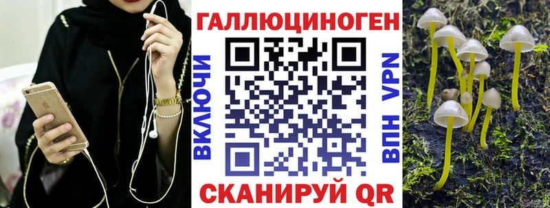 Псилоцибиновые грибы Cubensis  Фрязино 