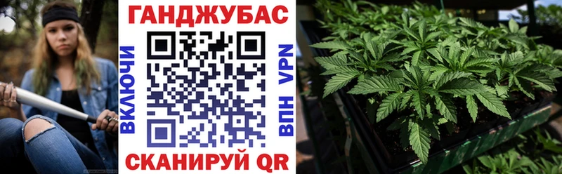 нарко площадка какой сайт  Фрязино  Конопля гибрид 